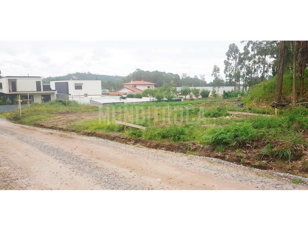 Lote individual Perelhal - Grande imagem: 5/8