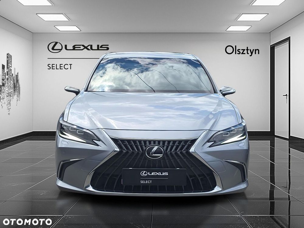 Lexus ES 300h Omotenashi - 8