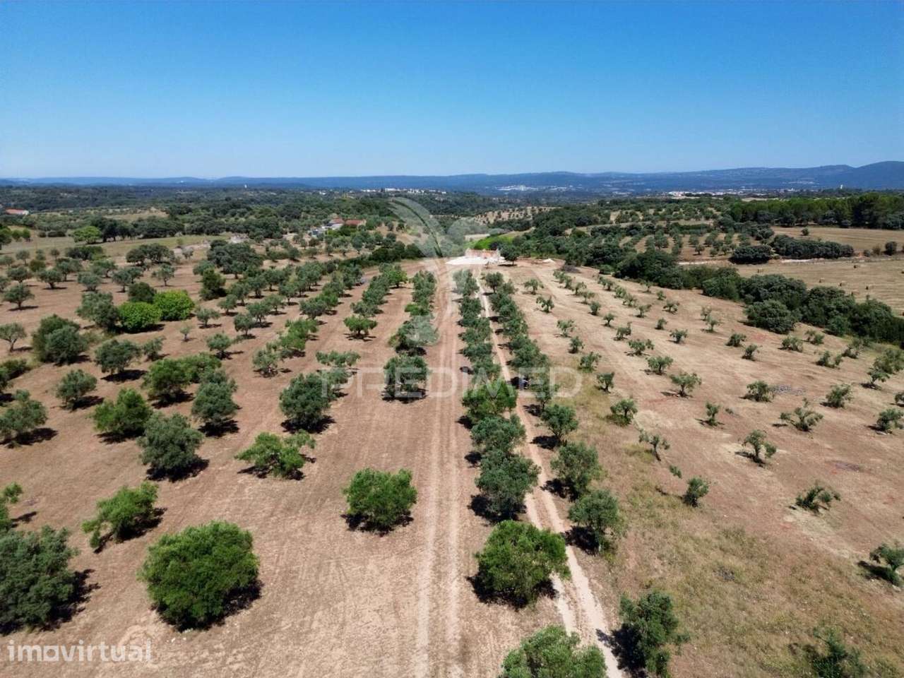 Quinta rural com olival, com uma área de 42,480m2 Vaqueiros, Santarém - Grande imagem: 5/35