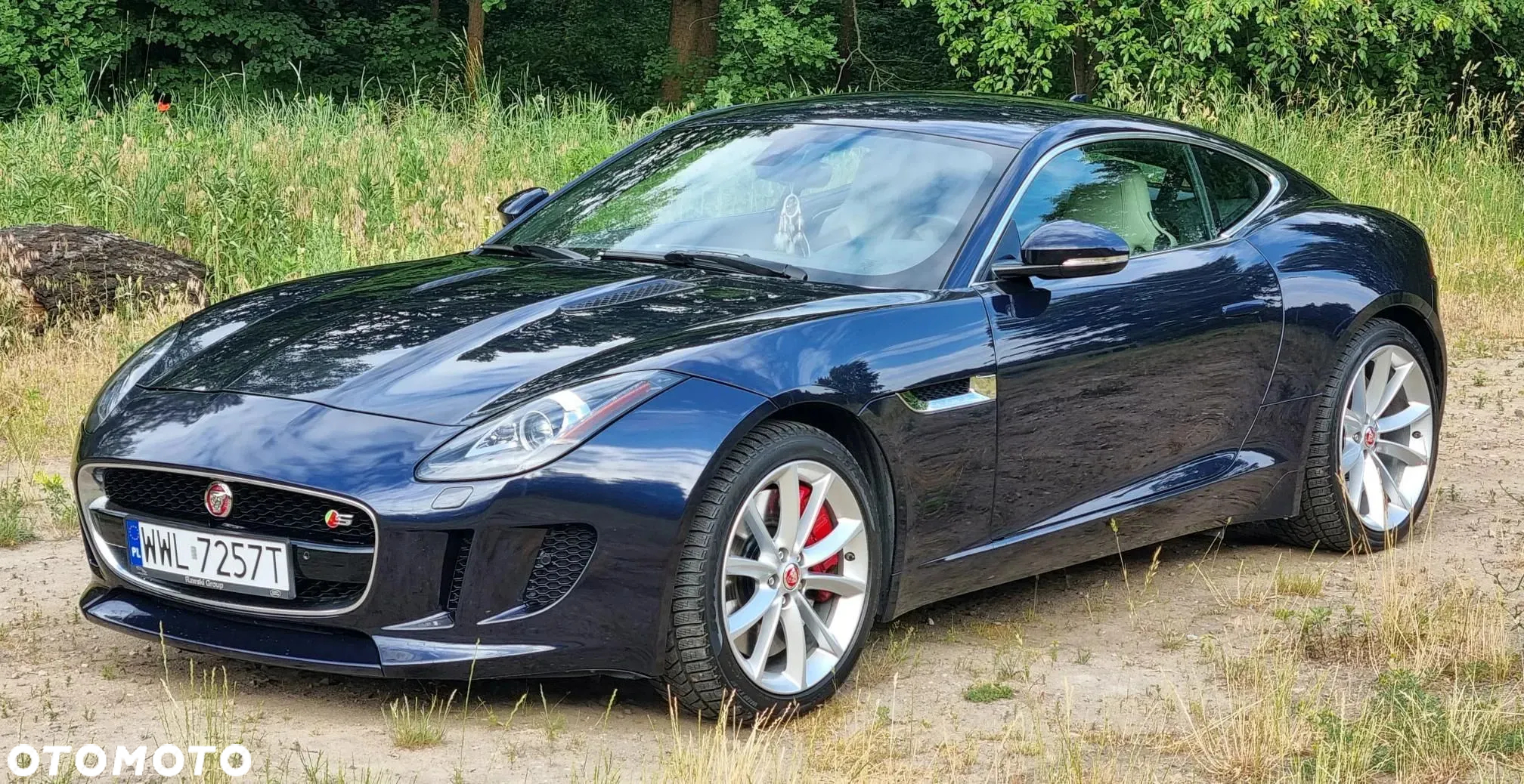 Jaguar F-Type S - 19