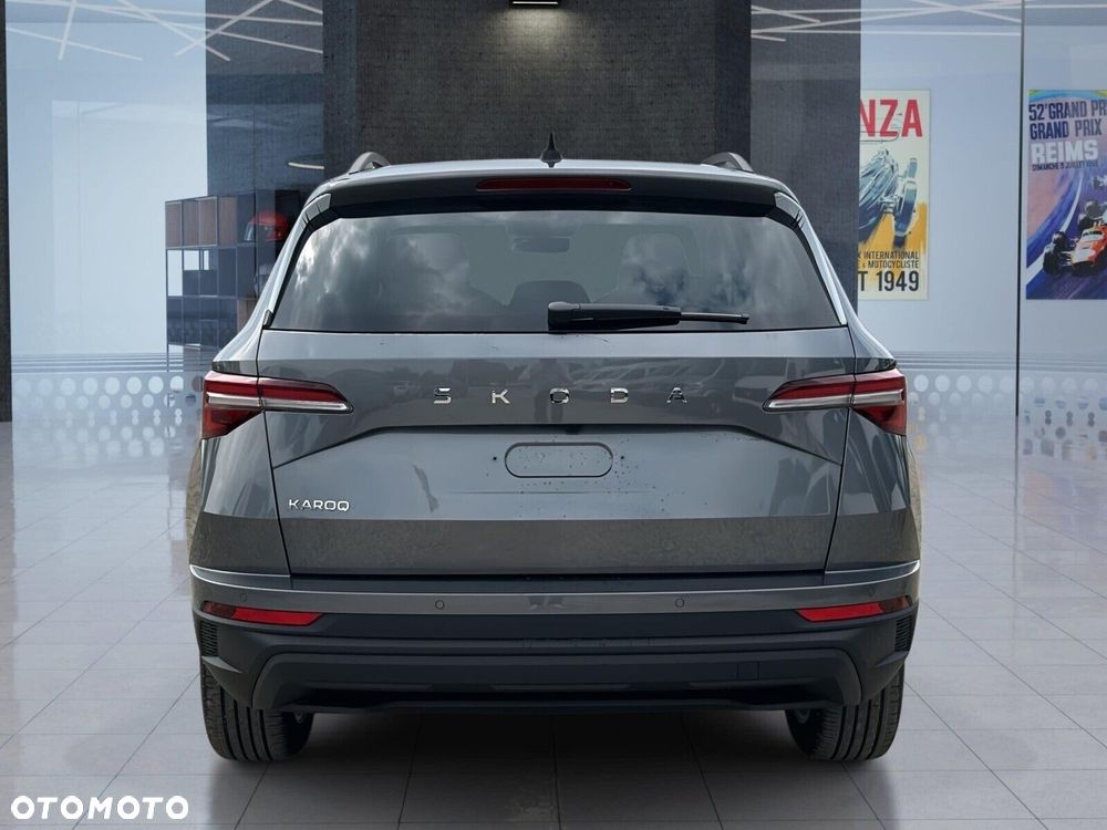 Skoda Karoq - 12