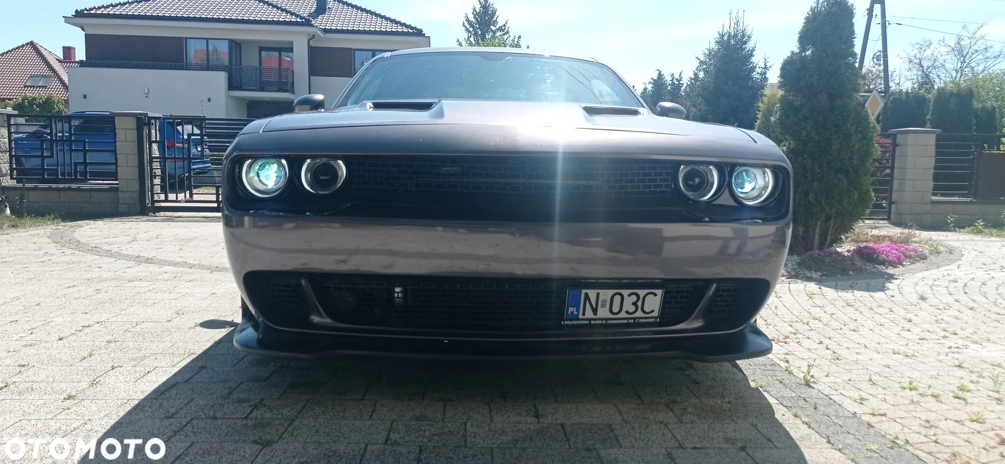 Dodge Challenger Automatik R/T Plus - 6