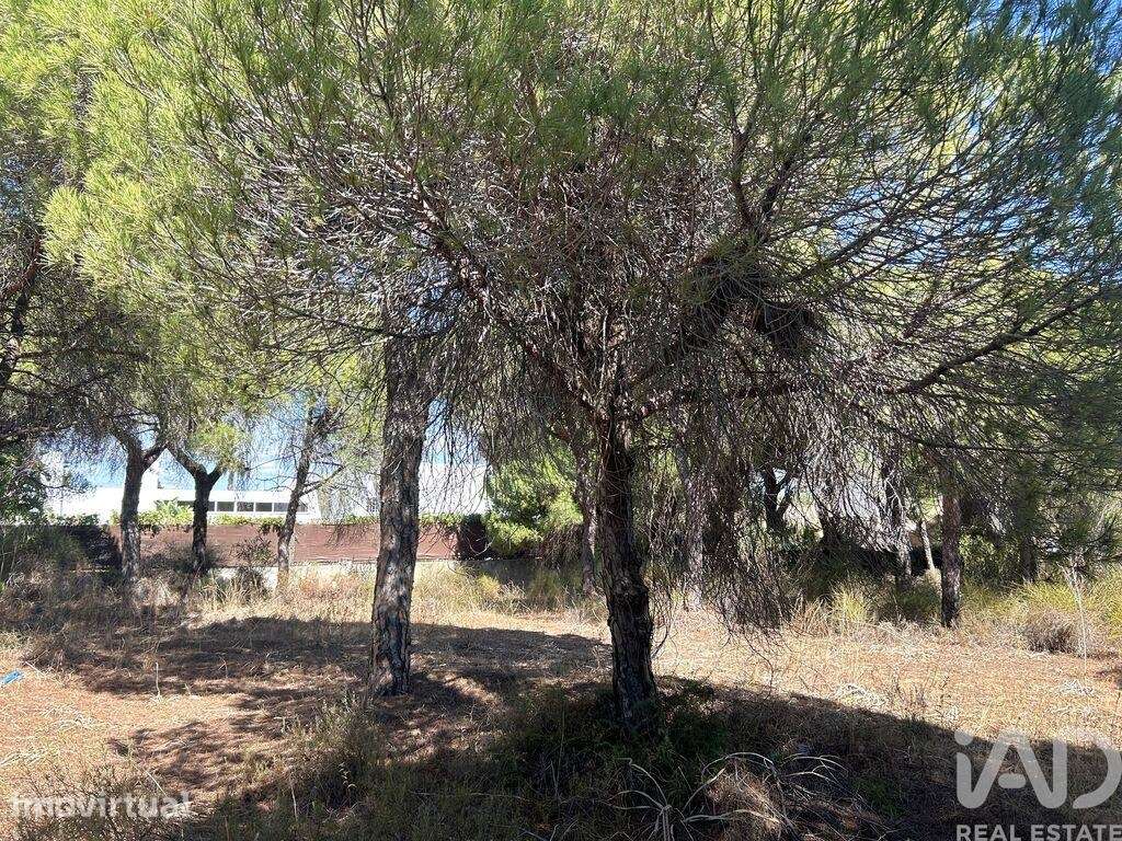 Terreno para construção em Vale de Lobo - Grande imagem: 2/7