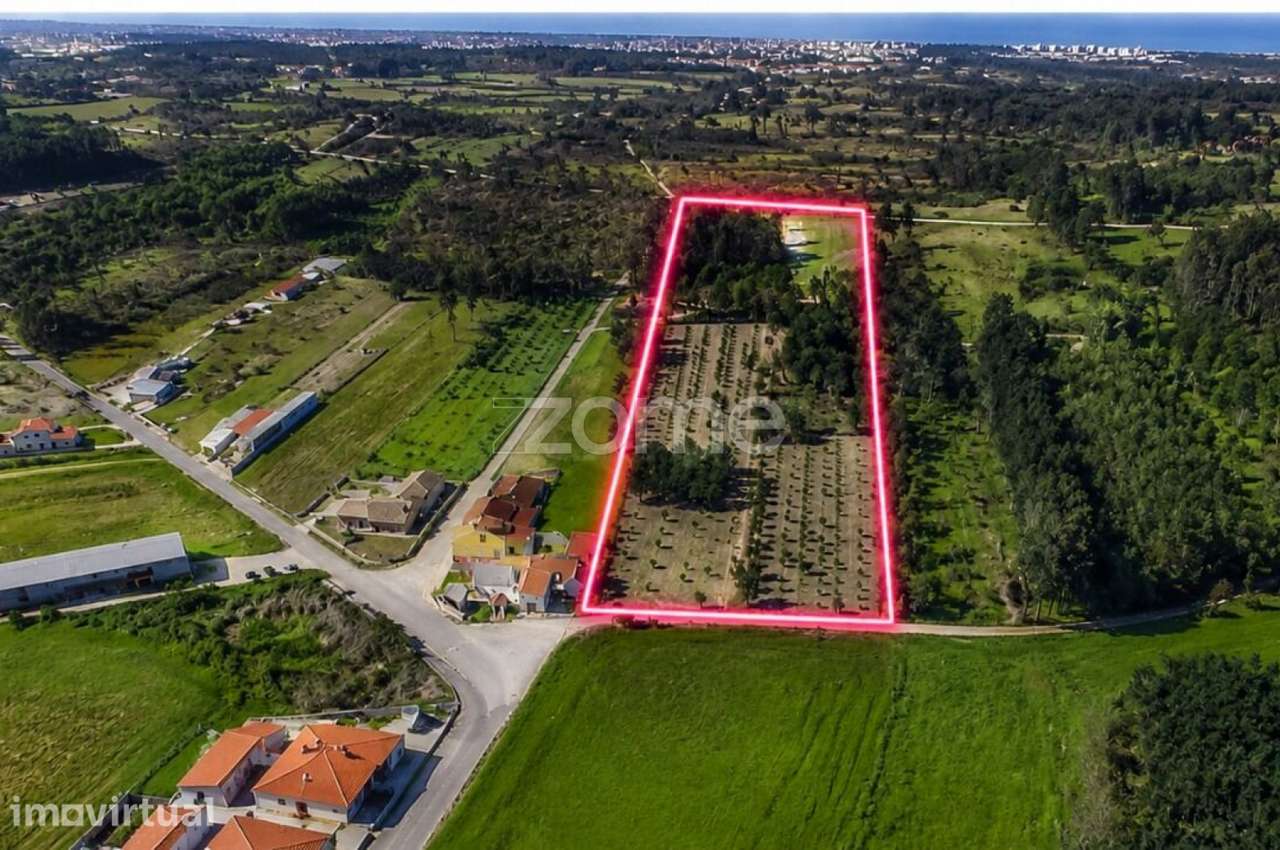 Terreno I 24 800m2 I Palhaça I Projeto moradia I 2 artigos - Grande imagem: 2/17