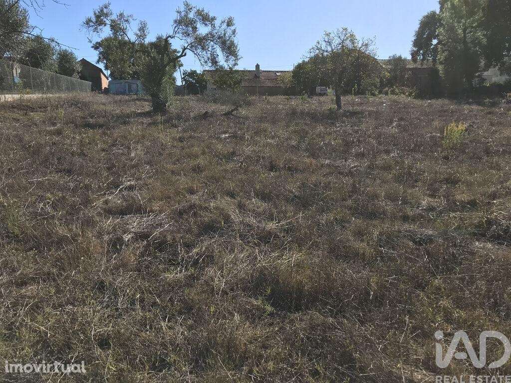 Terreno para construção em Rio de Couros e Casal dos Bernardos de 3446 - Grande imagem: 4/8