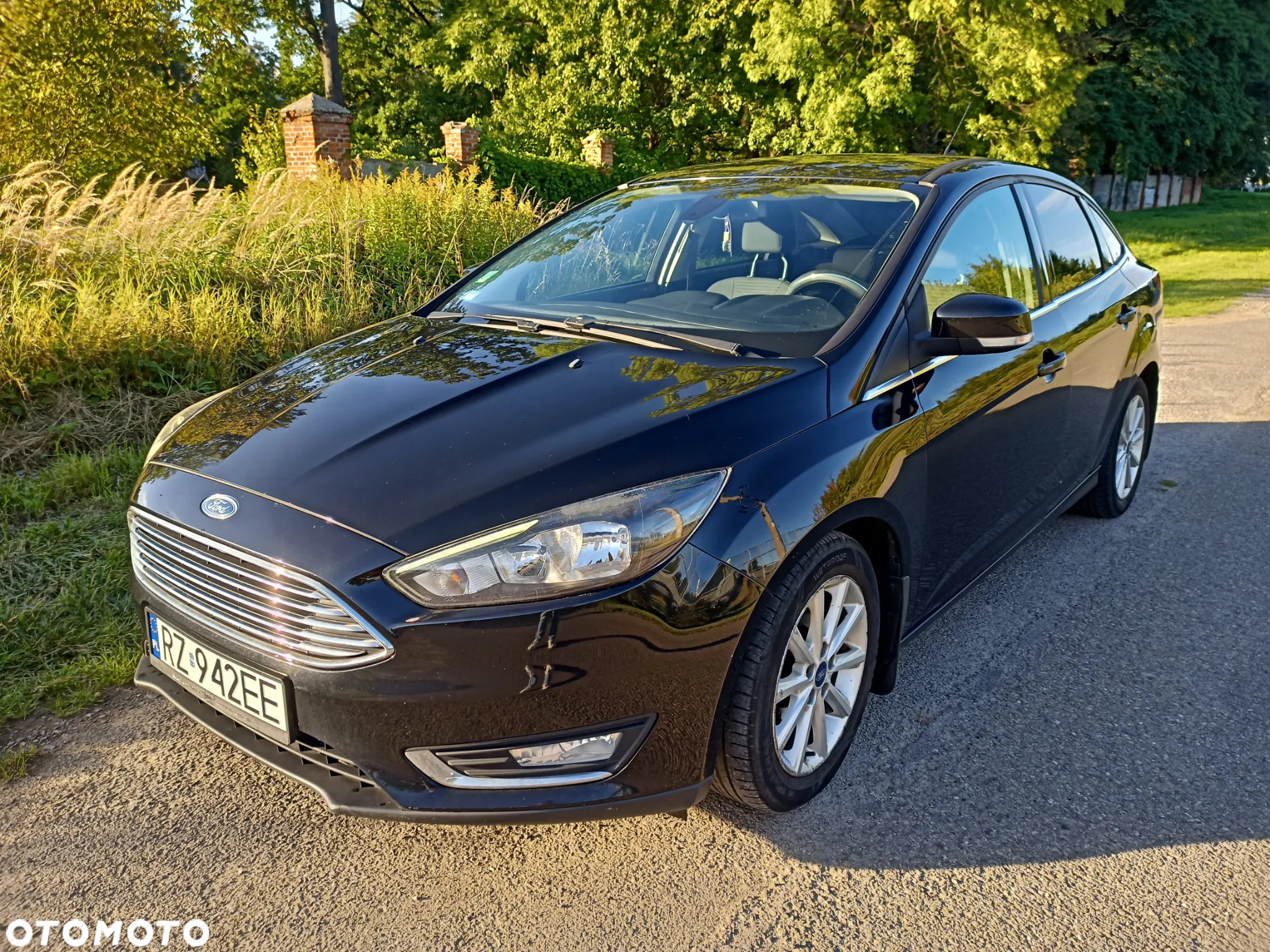 Ford Focus - 5