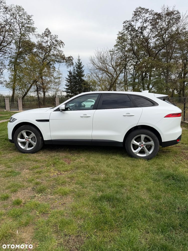 Jaguar F-Pace 2019 photo 4