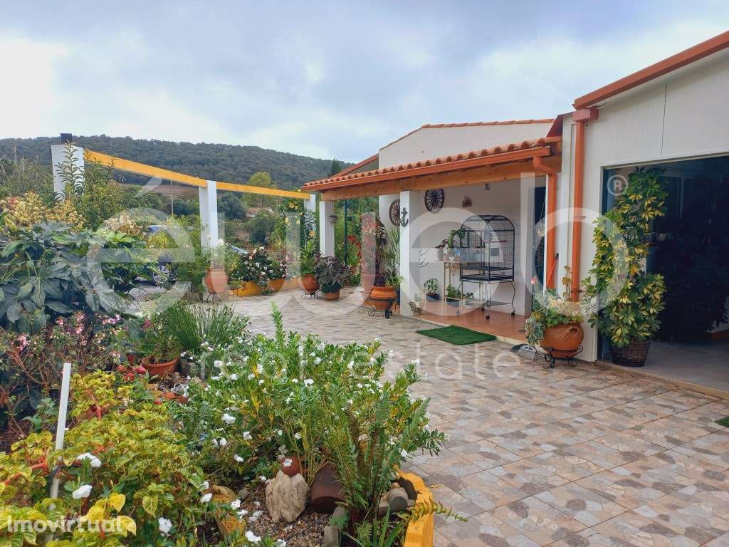 Lote, S. Luis, Odemira - Grande imagem: 3/25