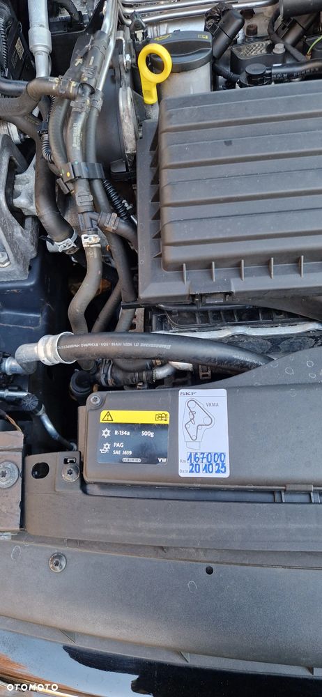 Volkswagen Golf - 21