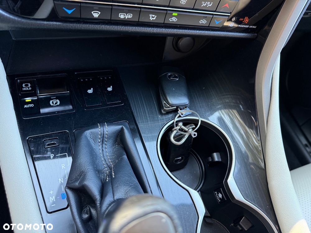 Lexus RX 200t / 300 Elegance - 15