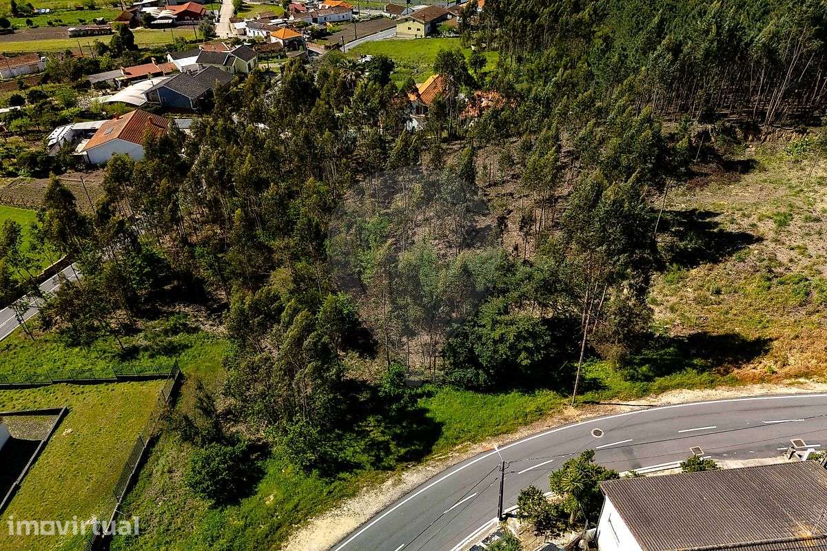 Terreno  para venda - Grande imagem: 4/12