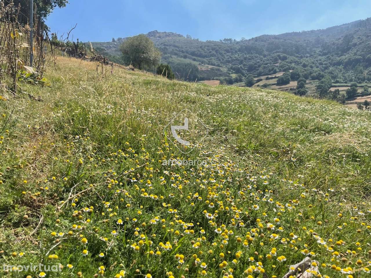 Propriedade com moradia recuperar, 4.700m2 de terreno, vistas excelent - Grande imagem: 5/34