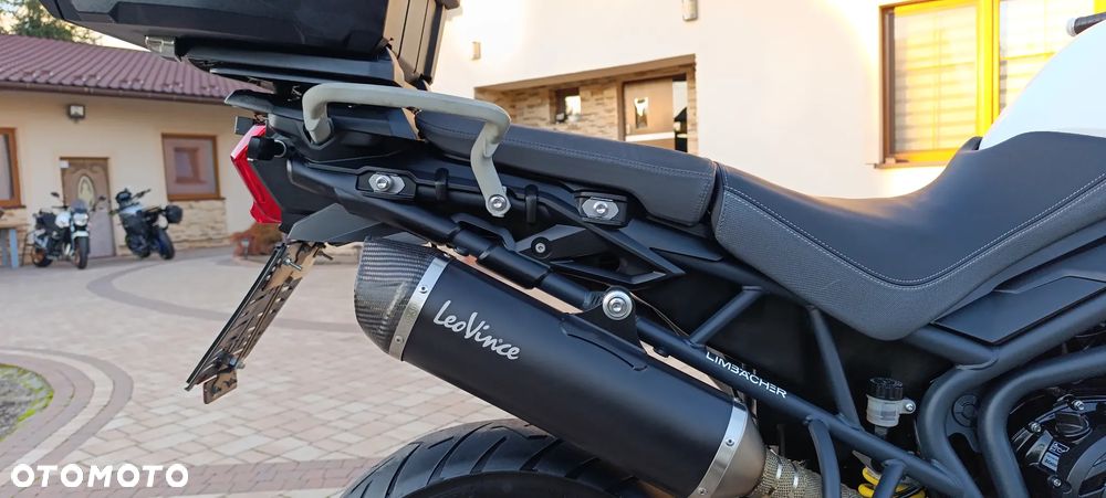 Triumph Tiger - 22