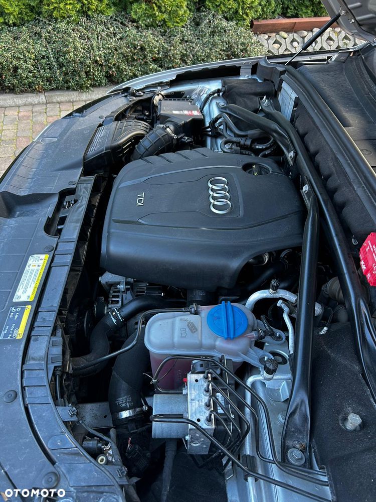 Audi Q5 - 19