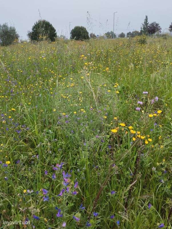 Terreno  para venda - Grande imagem: 3/3