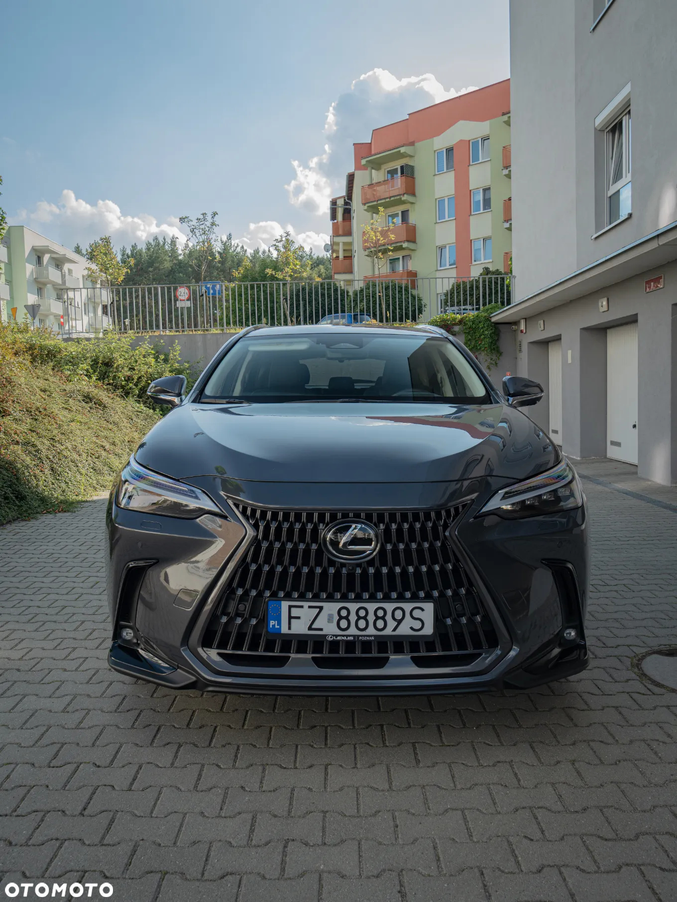 Lexus NX 350h Omotenashi AWD - 6