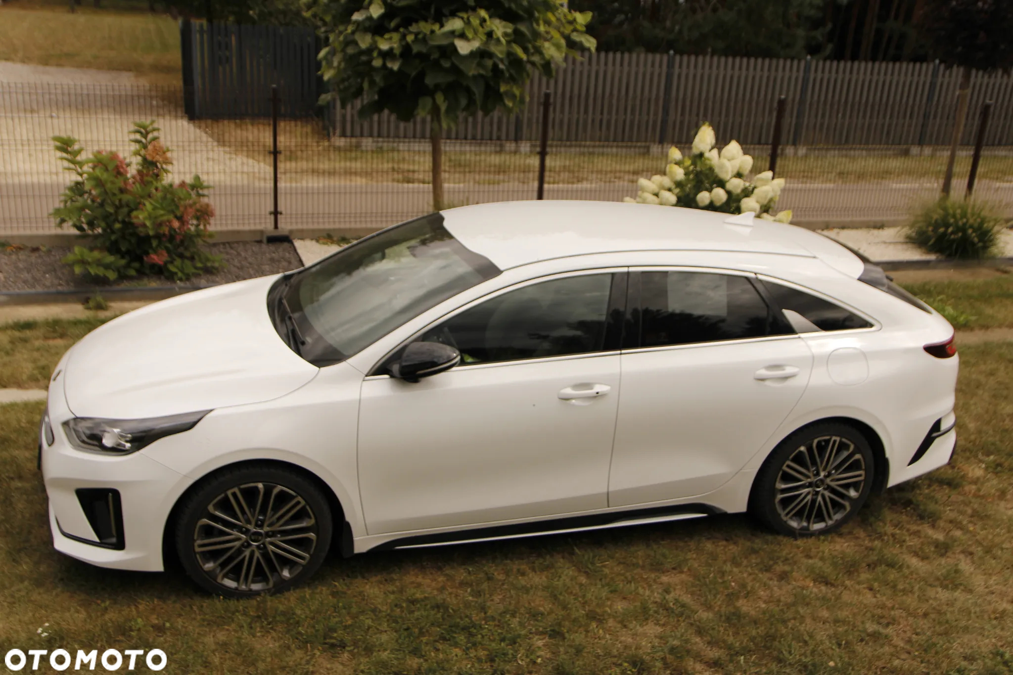 Kia ProCeed 1.4 T-GDI GT Line DCT - 2