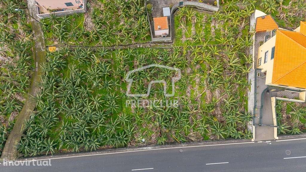 Terreno 600 m2 - Ribeira Brava - Grande imagem: 5/11