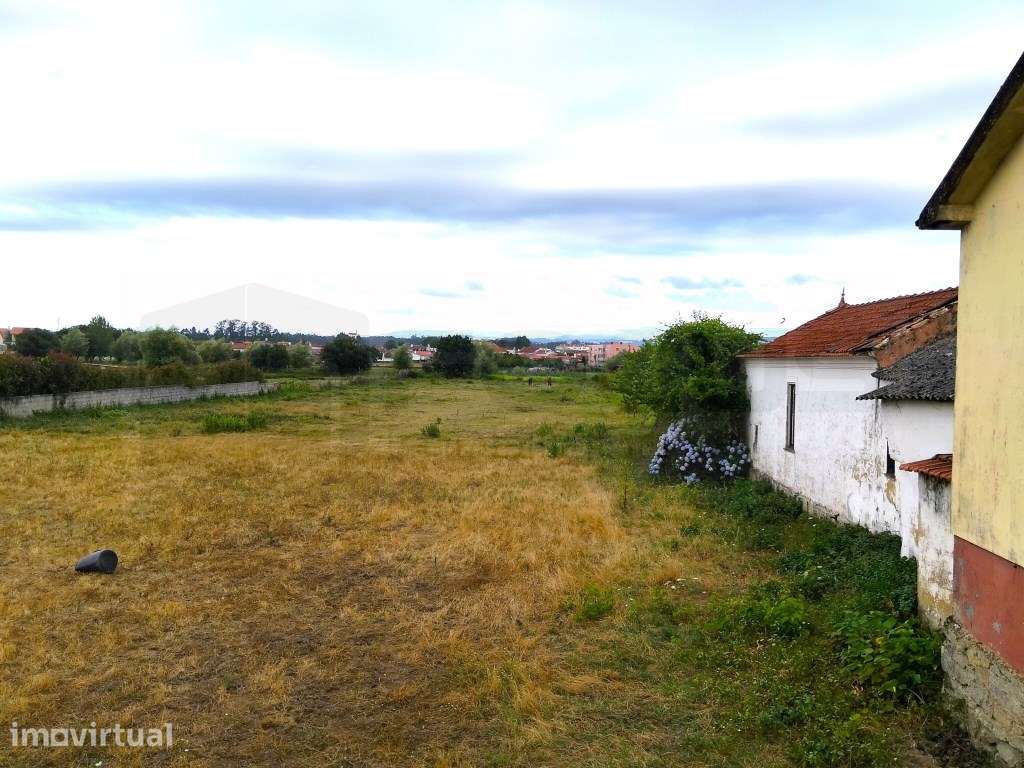 Terreno com 17m de frente - Estarreja - Grande imagem: 3/9