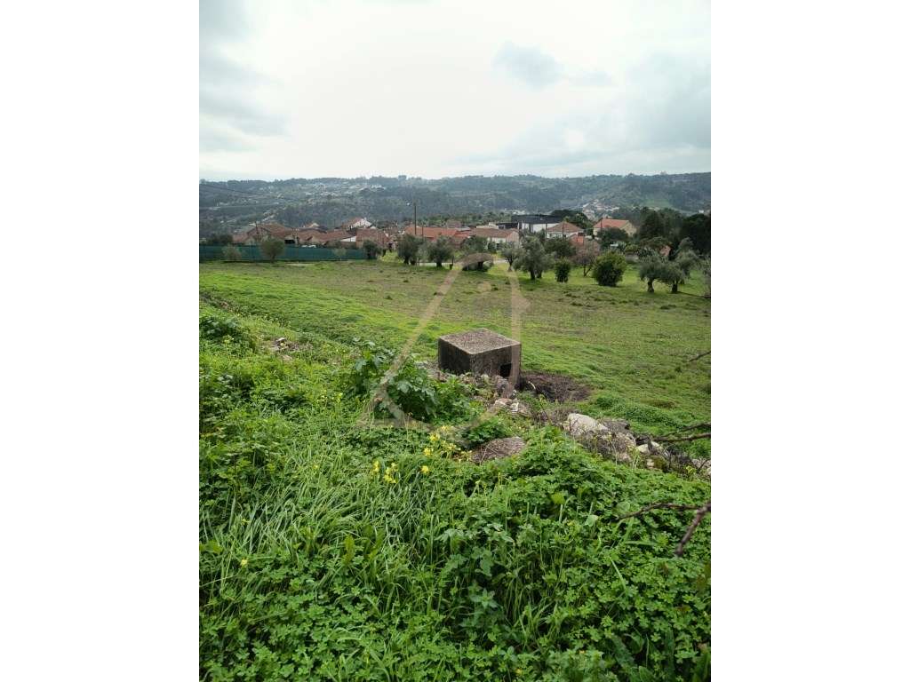 Terreno Exclusivo com 3.560 m² e Elevado Potencial de Construção em... - Grande imagem: 3/5