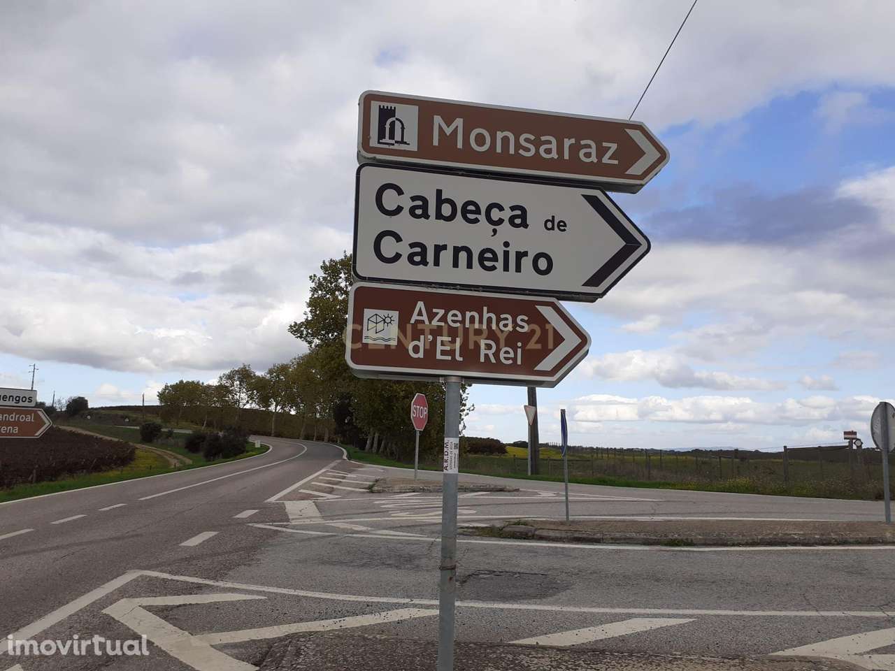 Baldio do Peral e Courela das Caldeiras - Cabeça de Carneiro - Grande imagem: 2/27