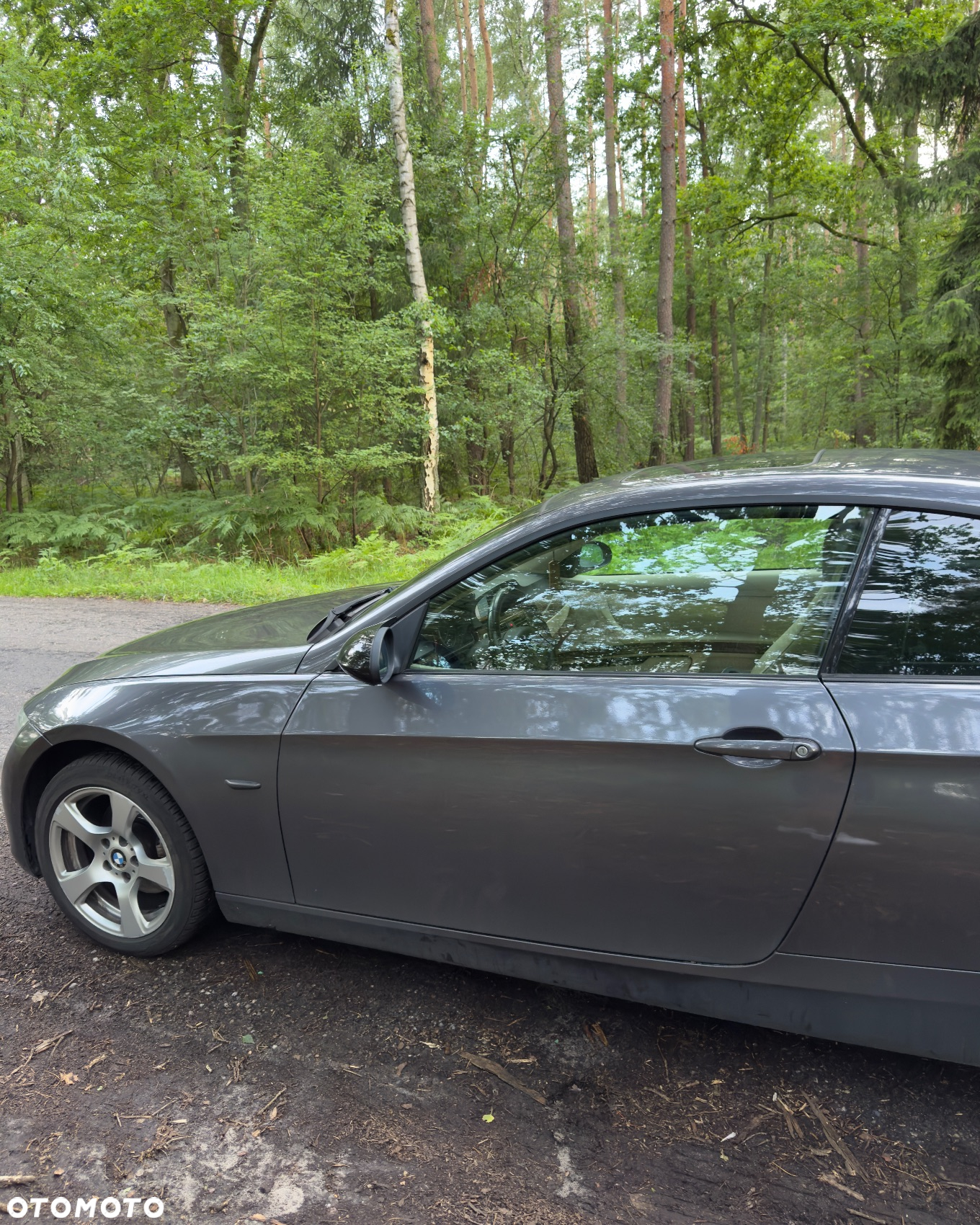 BMW Seria 3 - 6