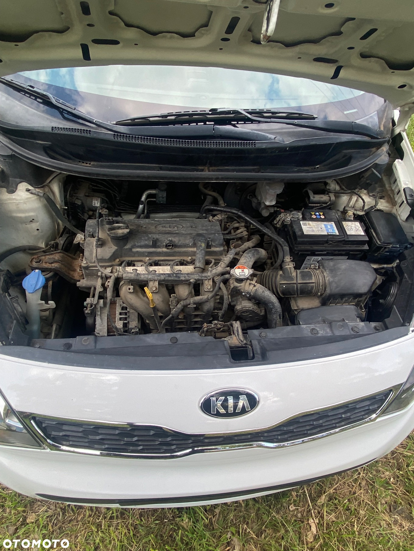 Kia Rio 1.2 Dream Team Edition - 12