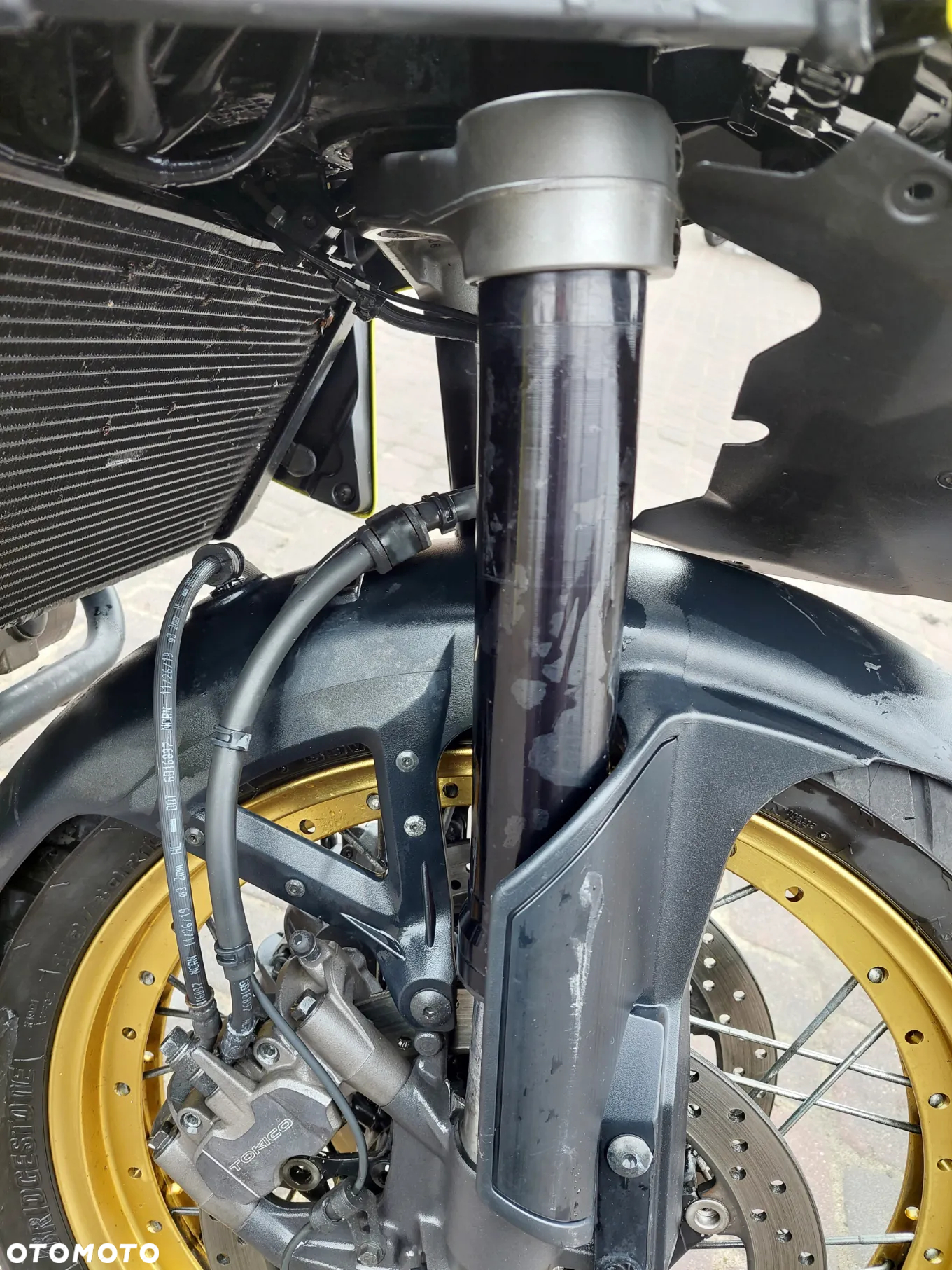 Suzuki DL - 11