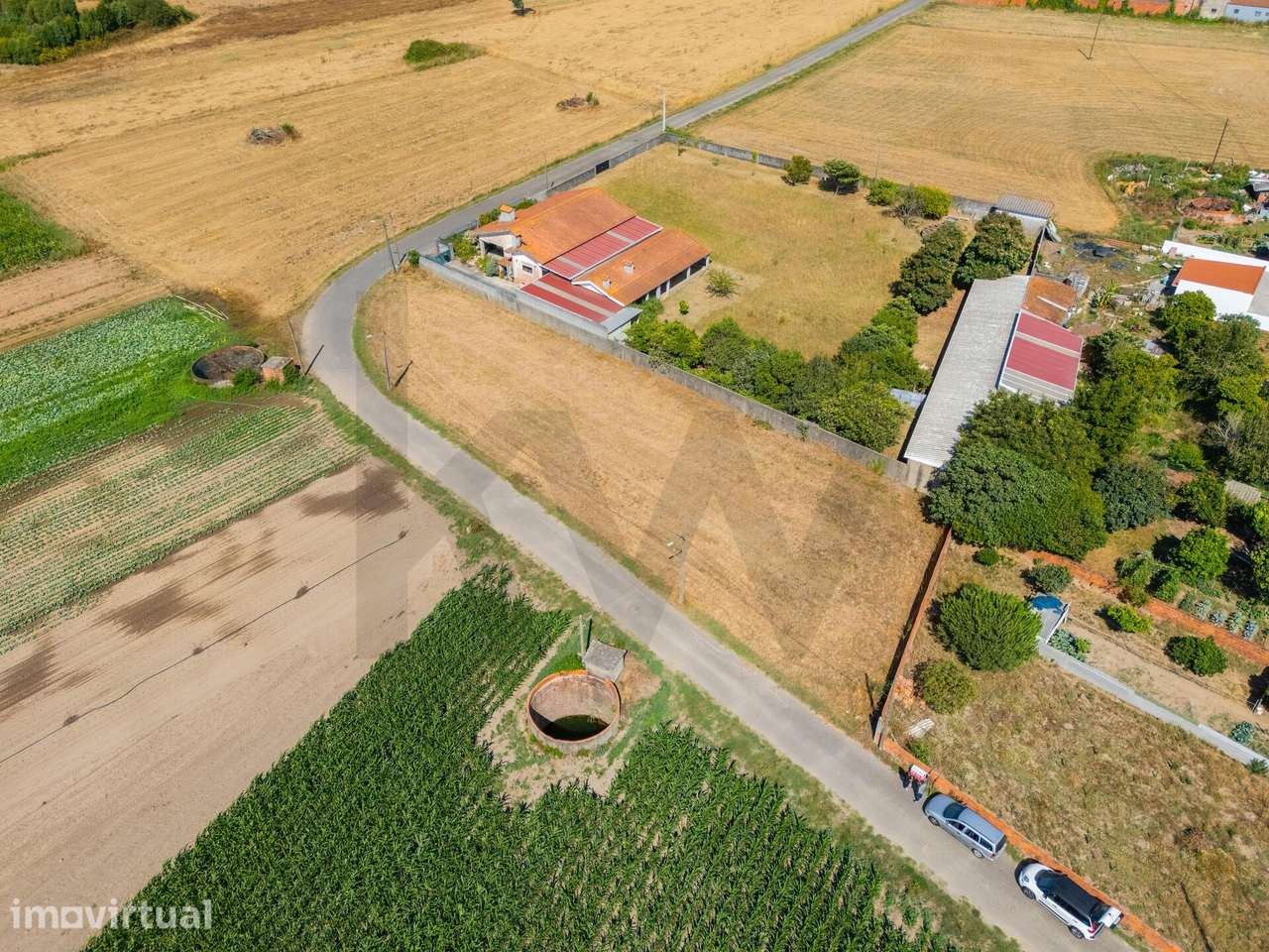 Terreno Urbanizável com 1.380 m2 em Ílhavo (São Salvador) – Excelente - Grande imagem: 3/13