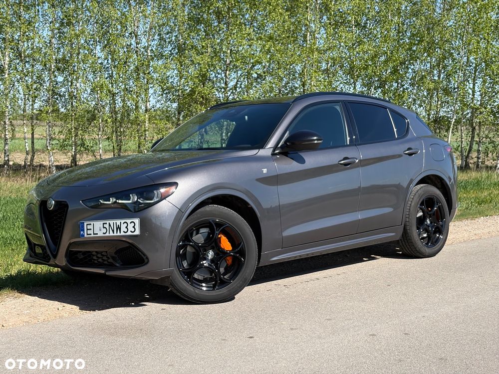 Alfa Romeo Stelvio 2.0 Turbo 16V AT8-Q4 Ti - 1