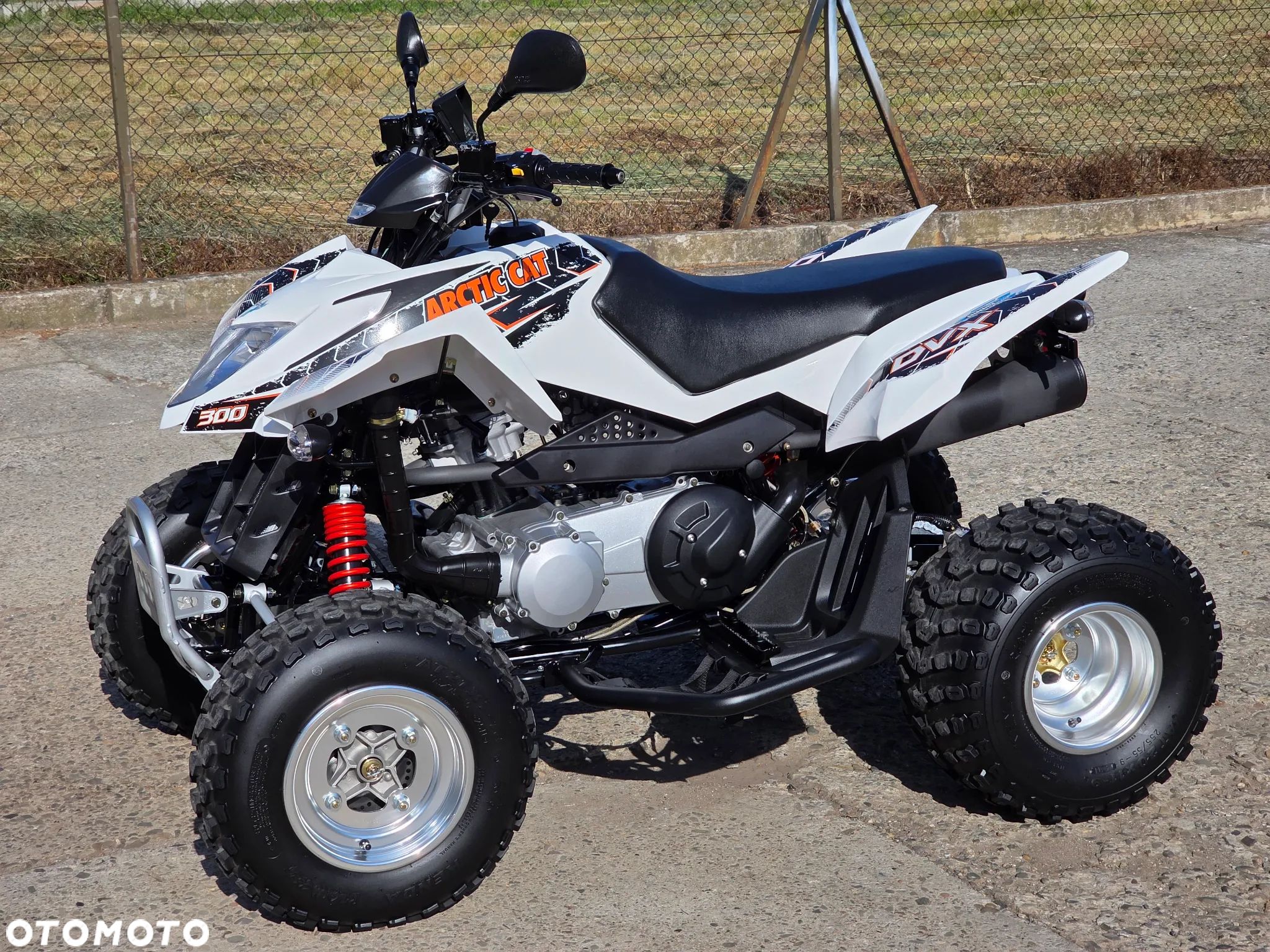 Arctic Cat Inny