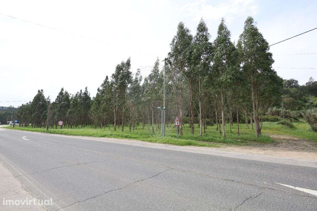 Terreno  para venda - Grande imagem: 2/14