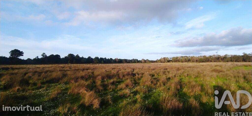 Terreno T1 em Vila do Bispo e Raposeira de 17850,00 m2 - Grande imagem: 5/8