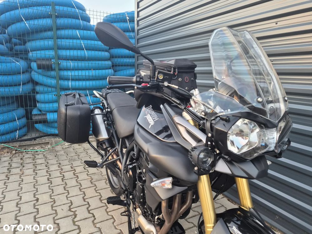 Triumph Tiger - 11