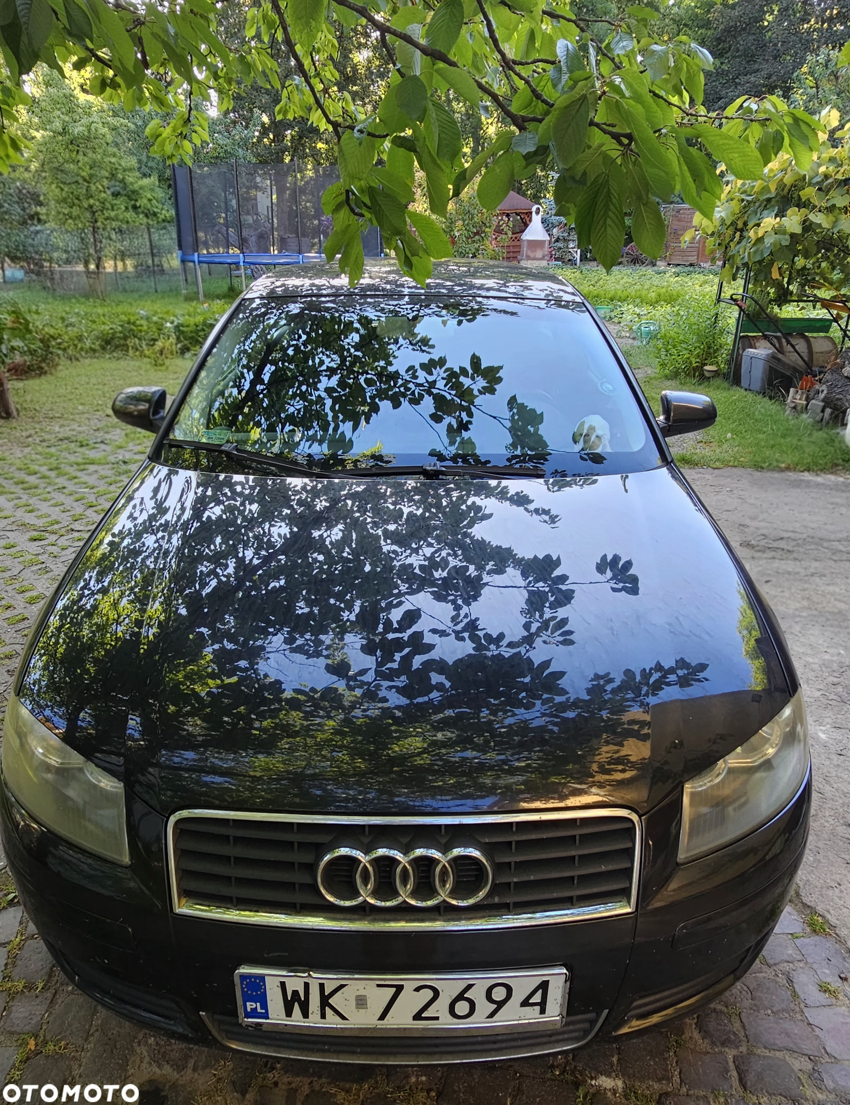 Audi A3 1.6 Ambiente - 4