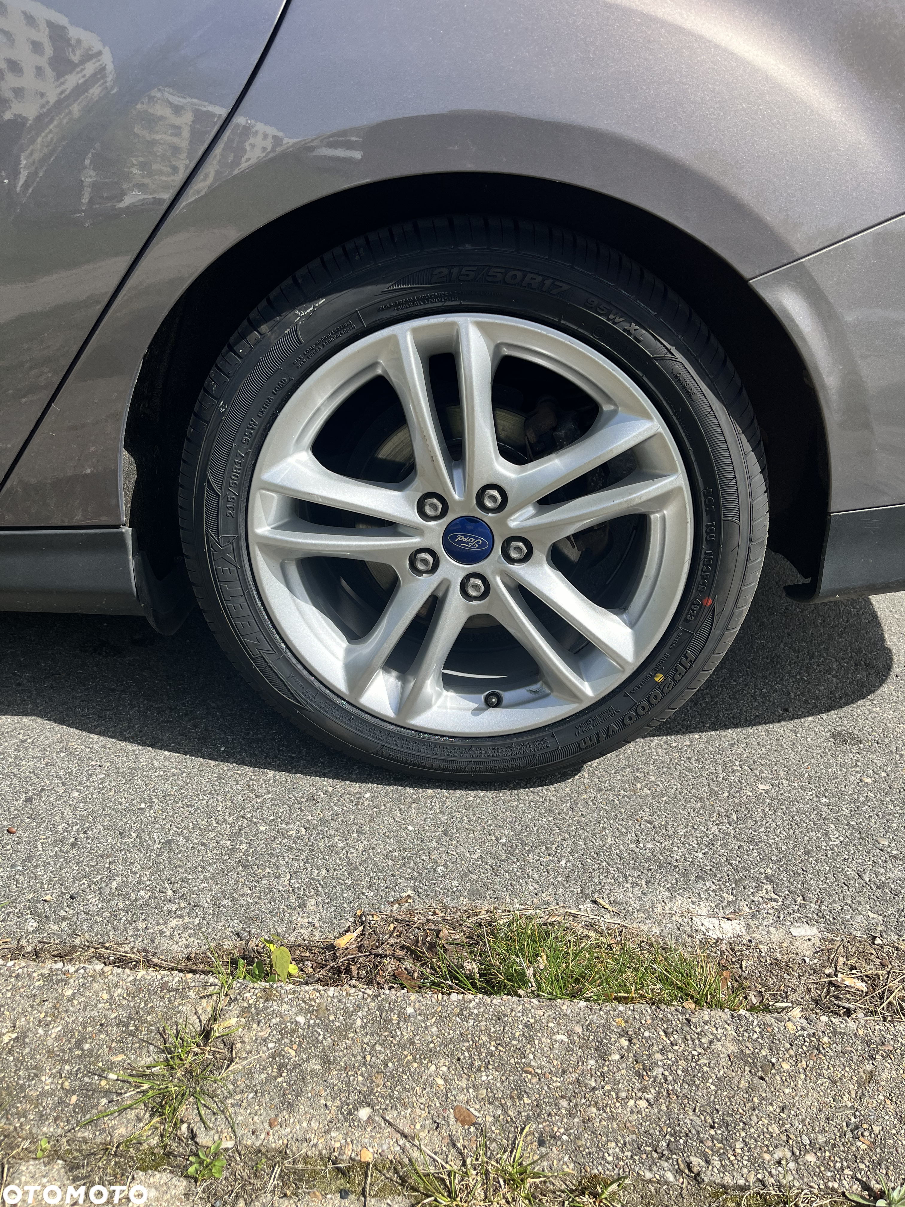 Ford Focus - 13