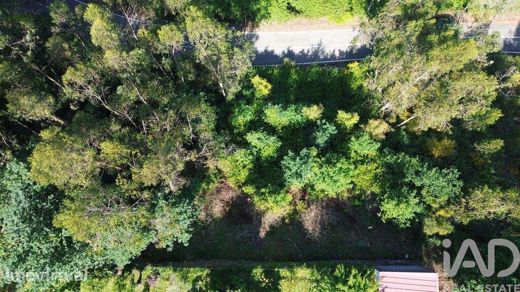 Terreno Agrícola em Lemenhe, Mouquim e Jesufrei - Grande imagem: 4/7