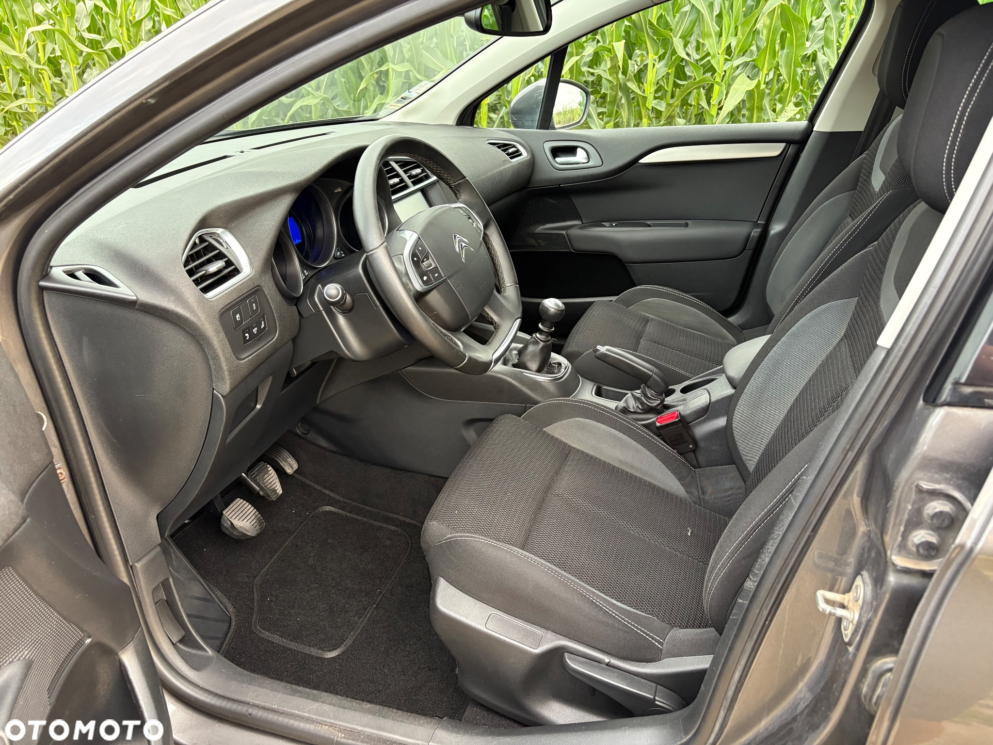 Citroën C4 BlueHDi 120 Stop&Start Shine - 16