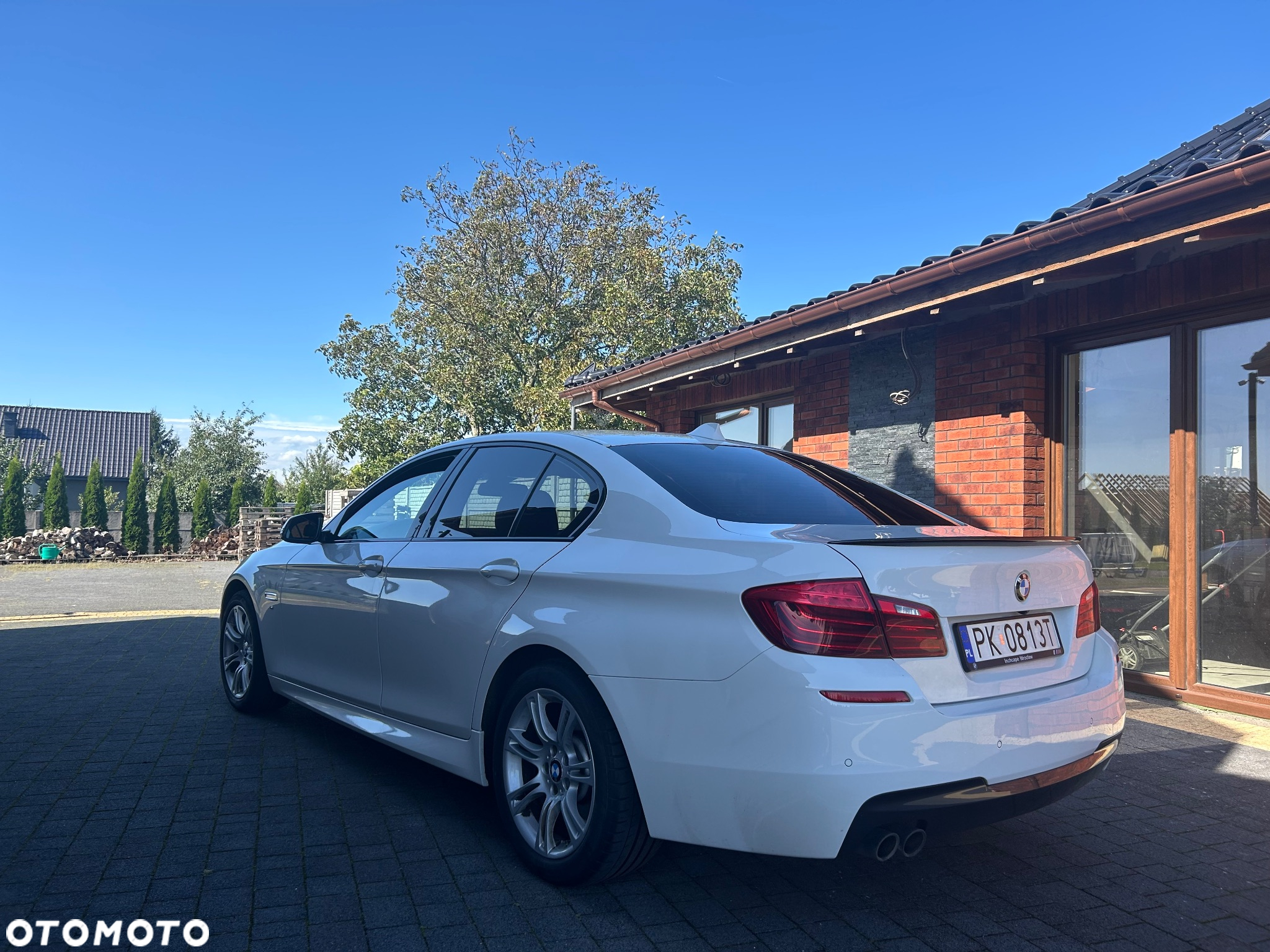 BMW Seria 5 520d xDrive - 18