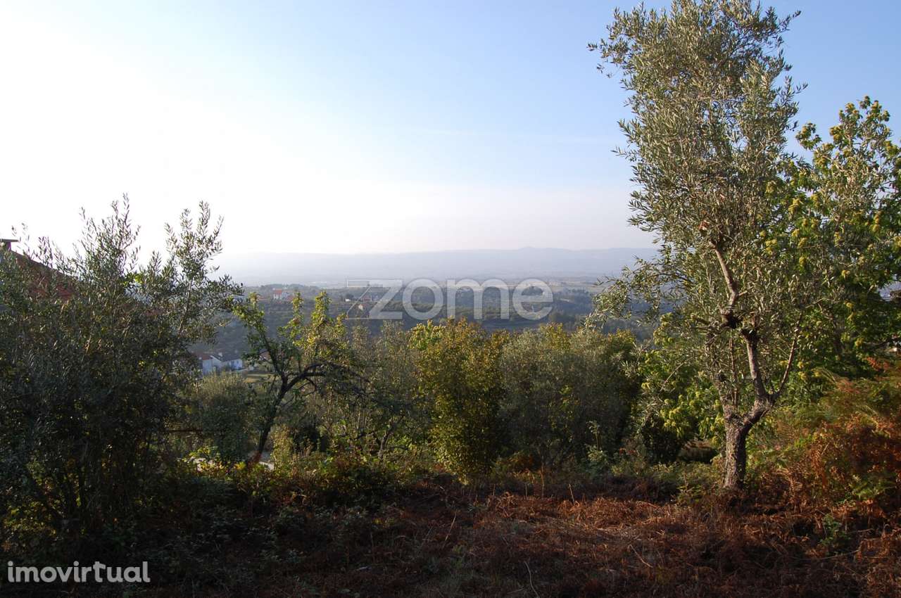 Terreno em Cabritos - Grande imagem: 4/22