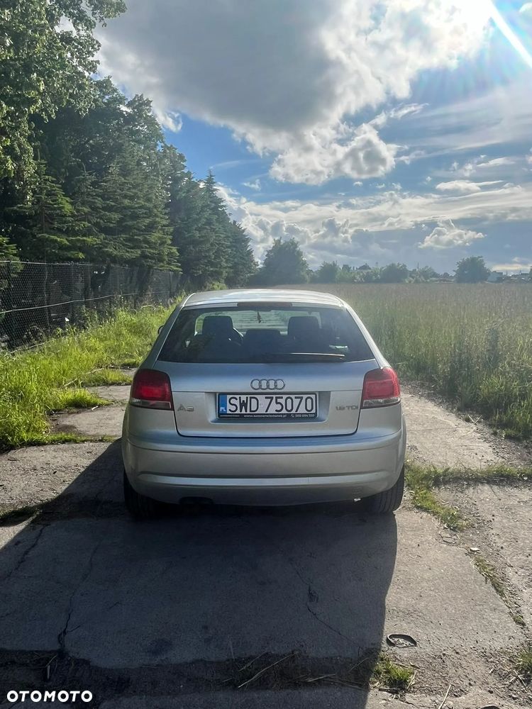 Audi A3 3-drzwiowe 1.9 TDIe DPF - 8