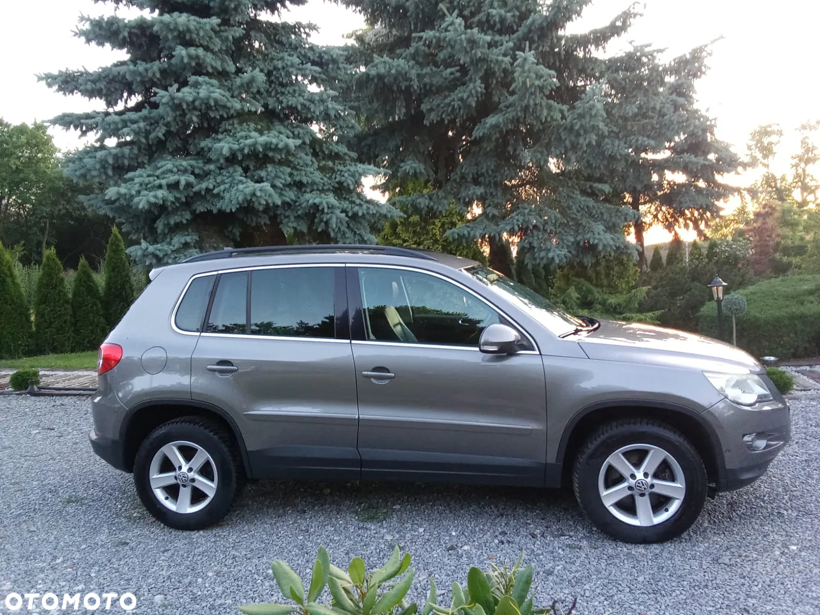 Volkswagen Tiguan - 5