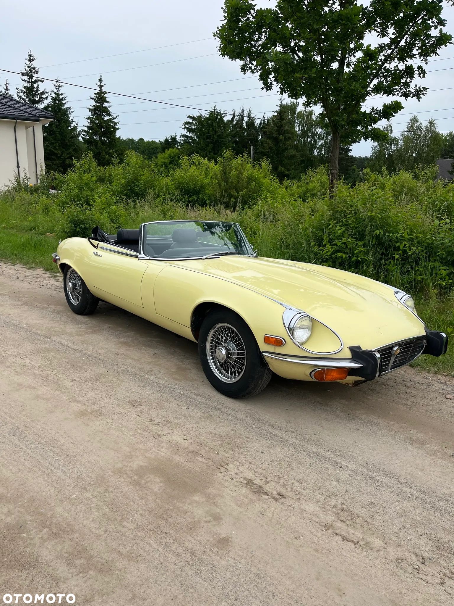 Jaguar E-Type - 1