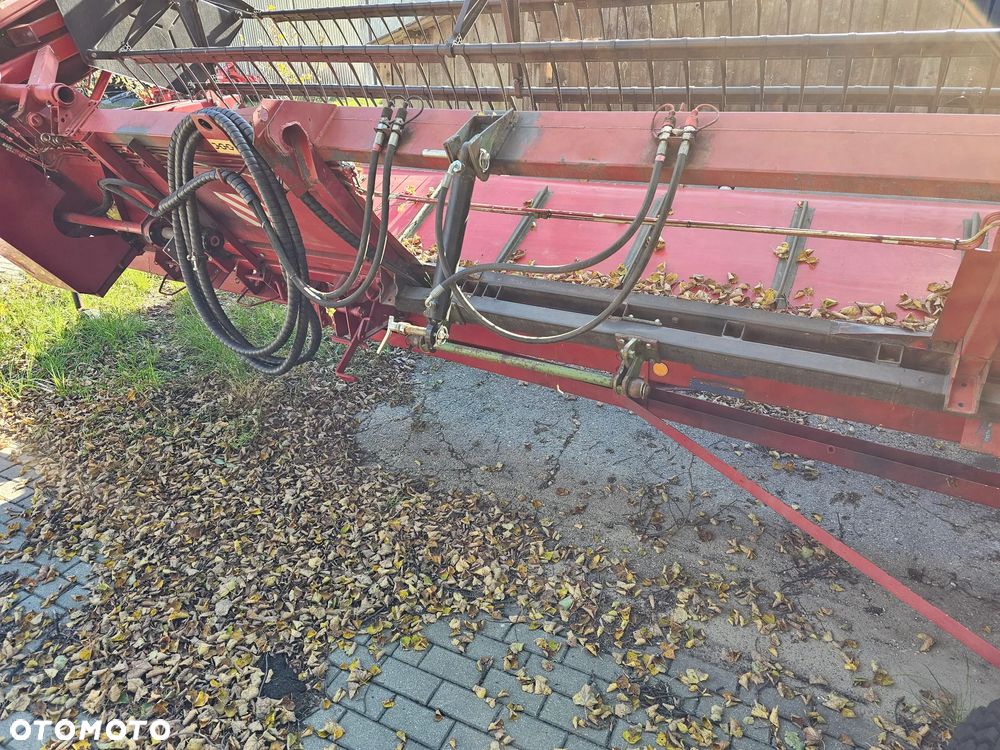 Inny Heder pokosowy - 3