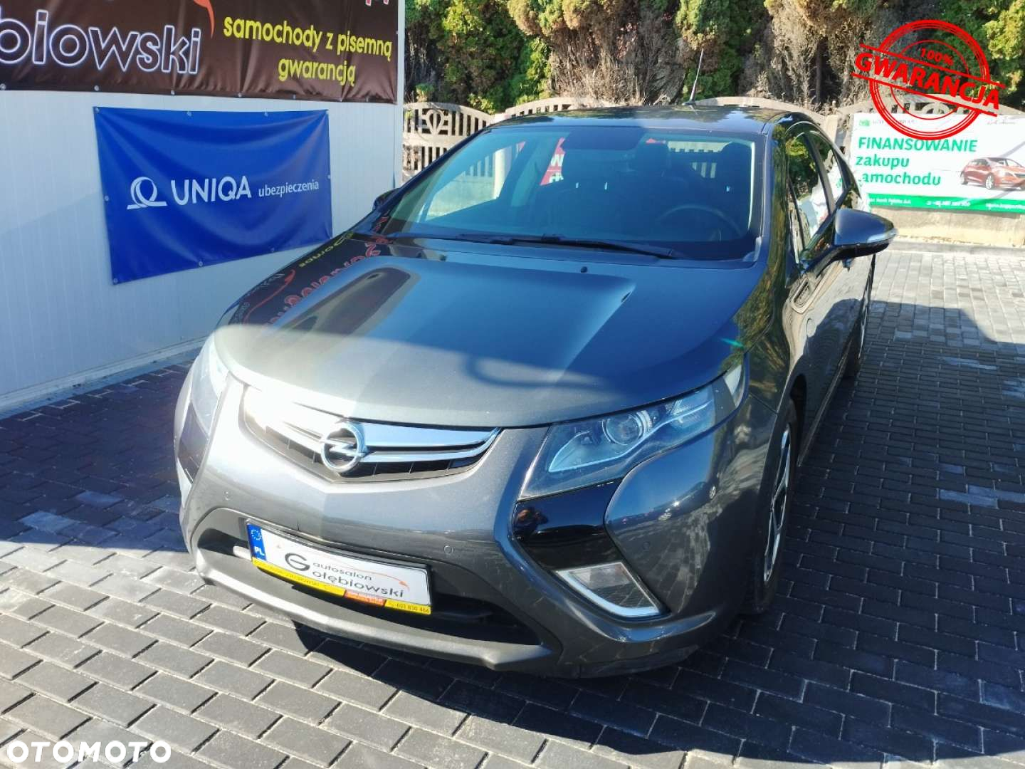 Opel Ampera - 2