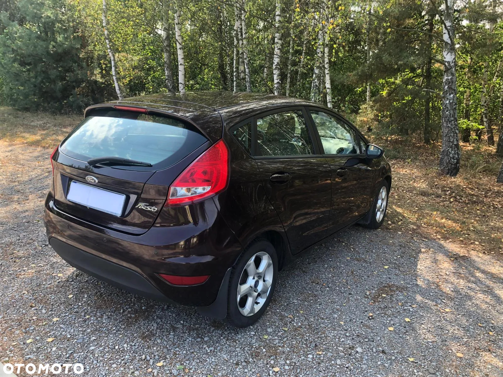 Ford Fiesta 1.25 Gold X EU5 - 11