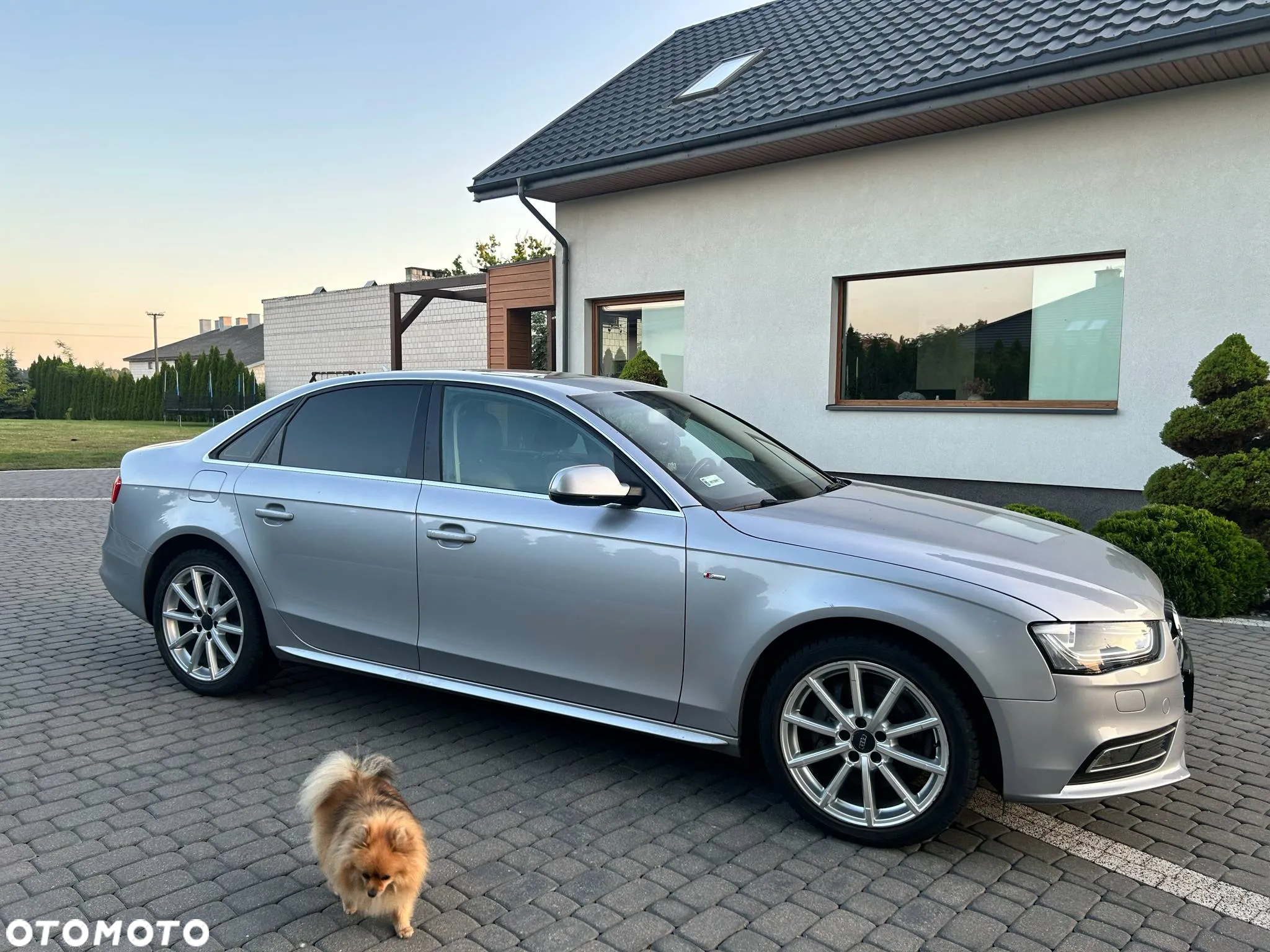 Audi A4 - 9
