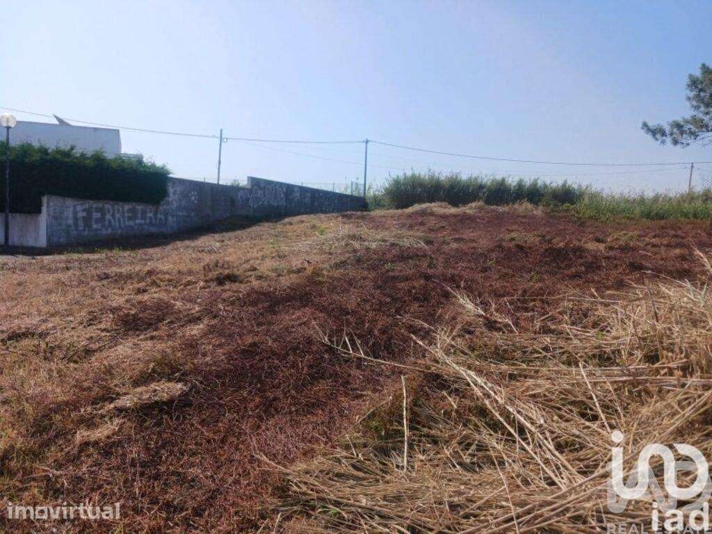 Terreno para construção em Lourinhã e Atalaia - Grande imagem: 2/17