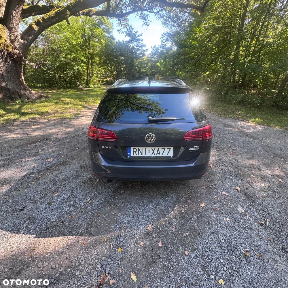 Volkswagen Golf - 8
