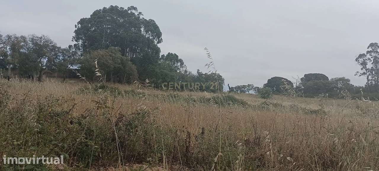 Terreno Rústico de 36,760m², Vale do Cobro, Oportunidade Rara - Grande imagem: 4/15